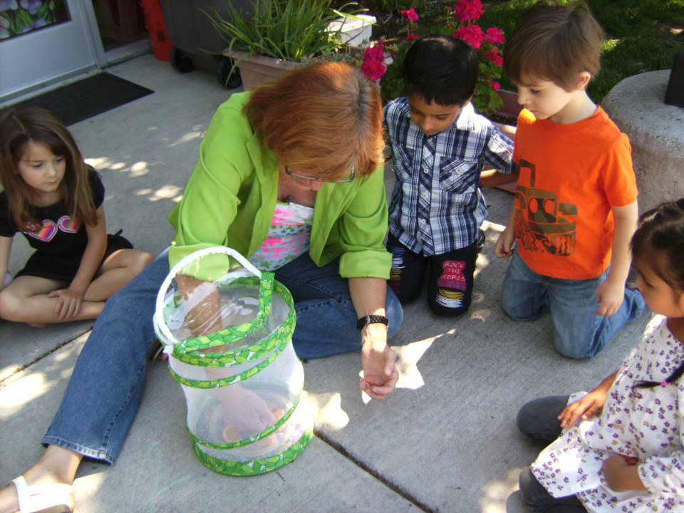 Preschool nature activities